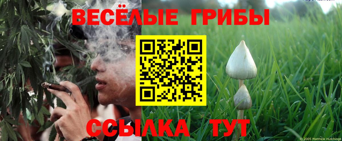 даркнет сайт  Псилоцибиновые грибы GOLDEN TEACHER  Вход с VPN  Псилоцибиновые грибы Psilocybine cubensis  Боровичи 